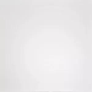 Керамогранит Домино (Domino) 600*600 белый G-100/MR — купить в Чебоксарах