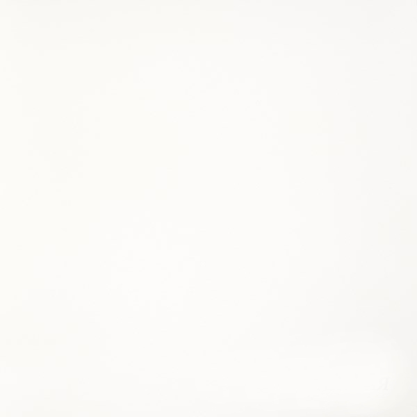 Керамогранит "Грани Таганая" Feeria (600*600 мм) Белый GTF400 — купить в Чебоксарах