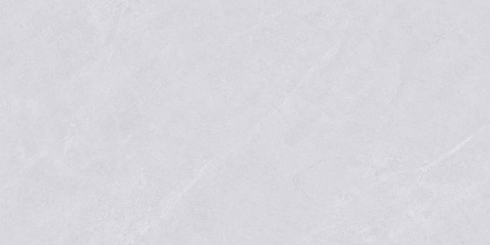 Керамогранит "Wan Sheng" Glazed (1200*600 мм) Серый D12620 — купить в Чебоксарах