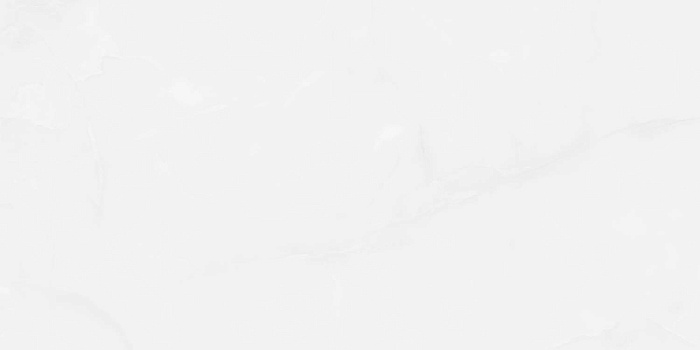 Керамогранит "Wan Sheng" Glazed (1200*600 мм) Серый D12617 — купить в Чебоксарах