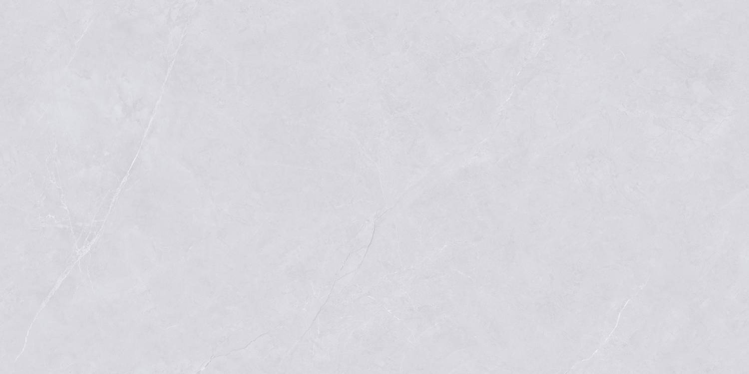 Керамогранит "Wan Sheng" Glazed (1200*600 мм) Серый D12620 — купить в Чебоксарах