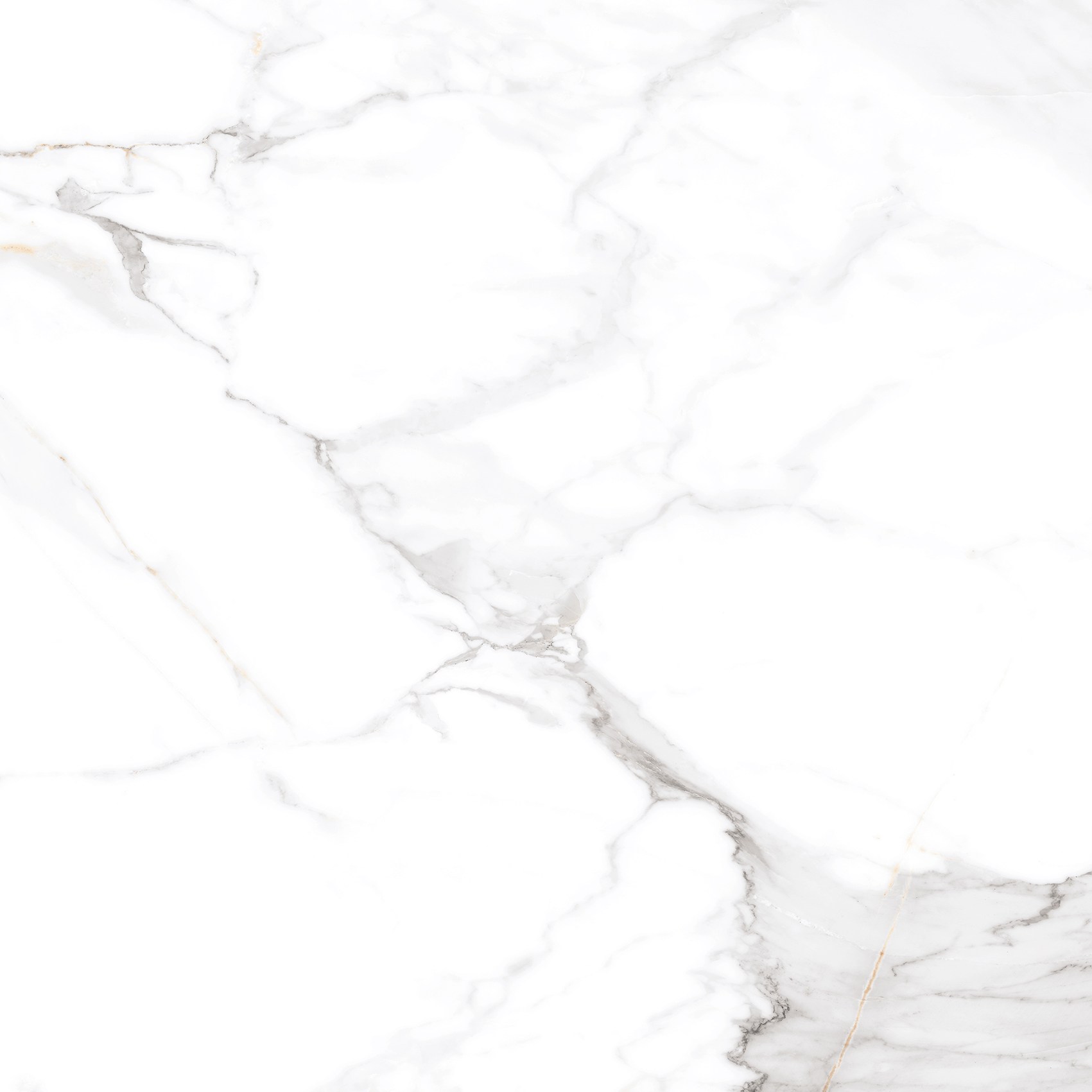 Керамогранит "Eternal" Calacatta (600*600 мм) Белый — купить в Чебоксарах